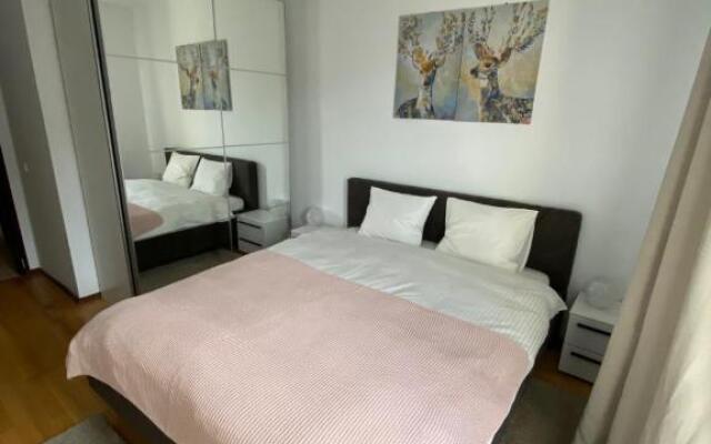Ioana's Apartament