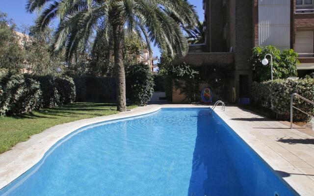 At011 Palmeres