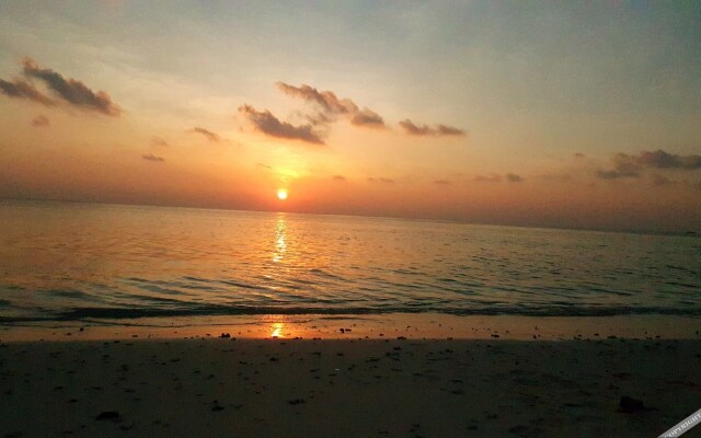 Local Travel Beach