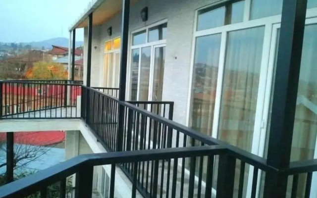 Hotel Petre Palace