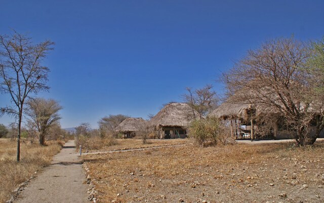 Whistling Thorn Tented Camp