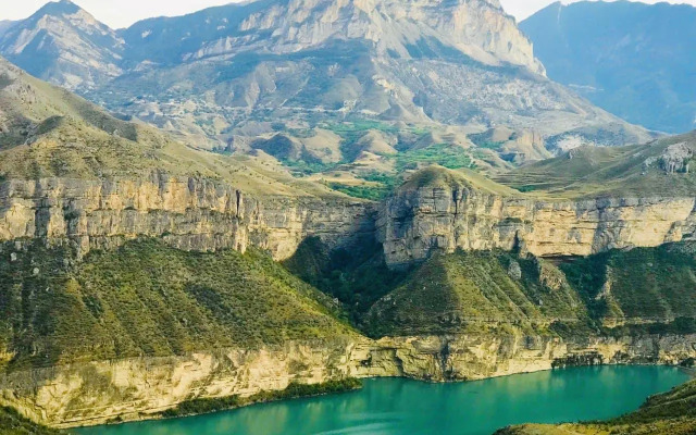 Родное гнездо