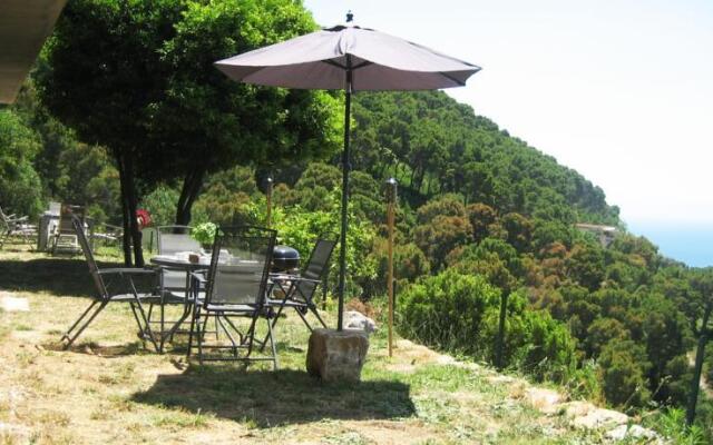 Casa Pineta