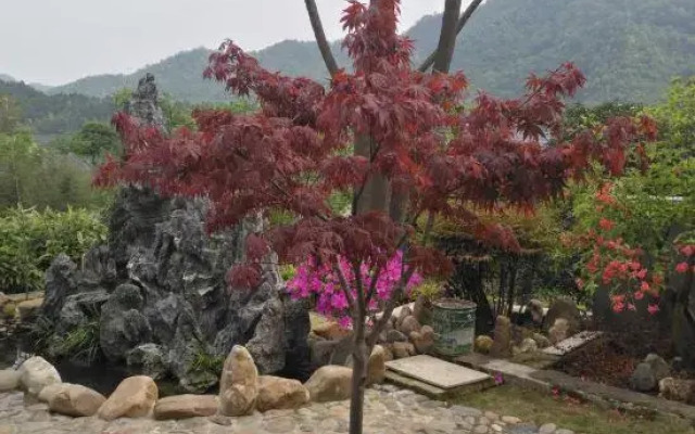 Taohuatan five star homestay