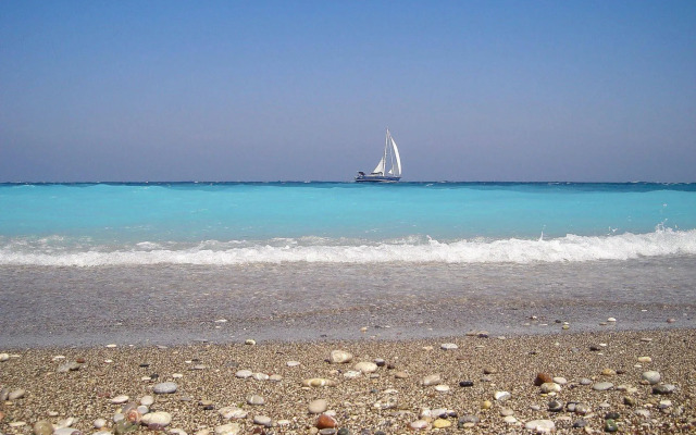 Alpha Stegna Sun