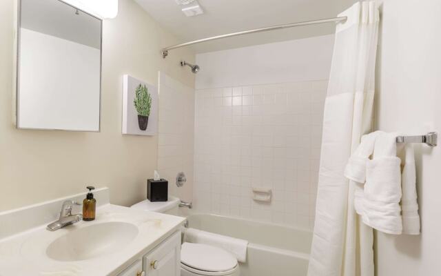 Premium A-Location Apartment