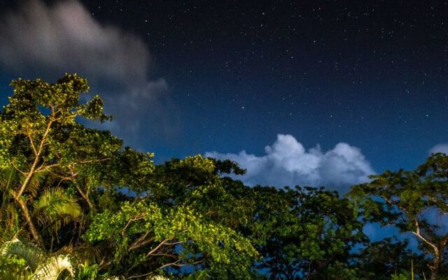 Copal Tree Lodge, a Muy’Ono Resort