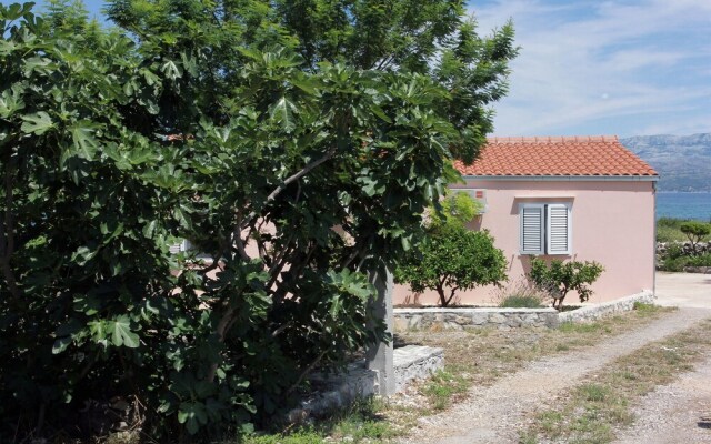 House Vela Njiva