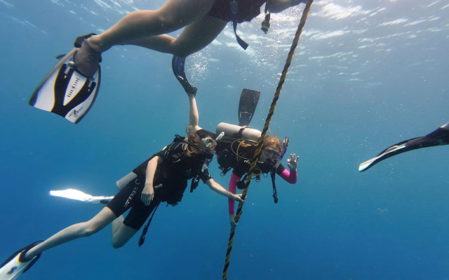 Hotel and Dive Center Roatan Yacht Club