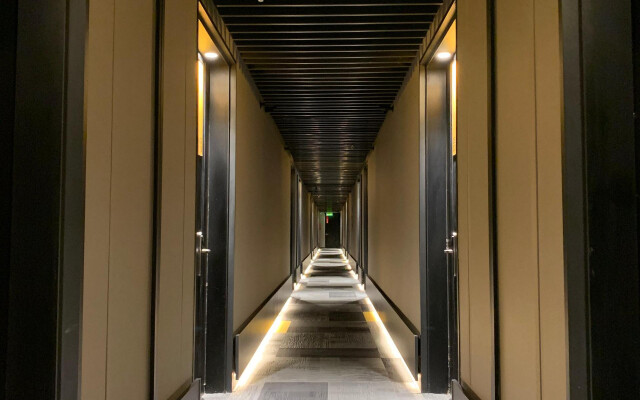 Ola Santiago Providencia, Tapestry Collection by Hilton