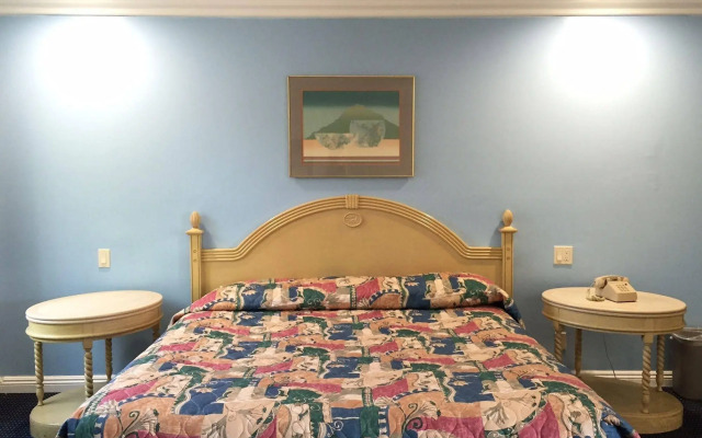 Willow Tree Lodge
