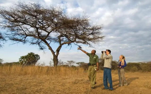 Severin Safari Camp