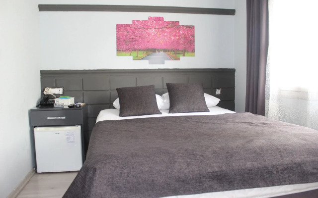 Asus Palmiye Otel