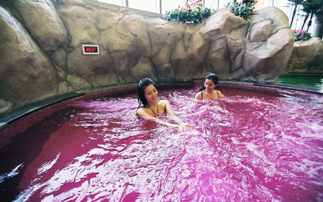 Phoenix Pyeongchang Resort