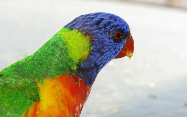 Baywatch Luxury Apartments