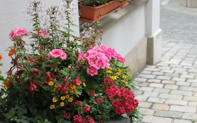 Hotel am Rathaus