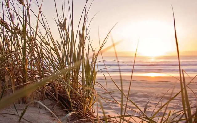 Damp Ostsee Resort & Ferienpark