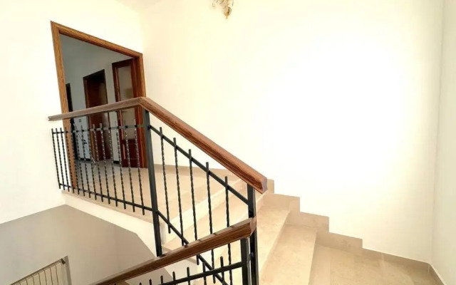 Le piccole Vigne (Vignine)