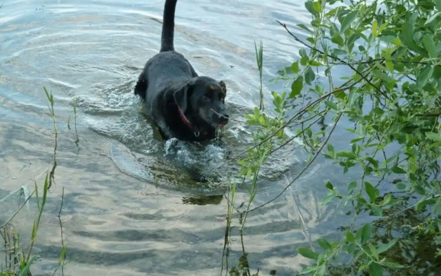 The Fischerhaus on Lake Malkwitzer See