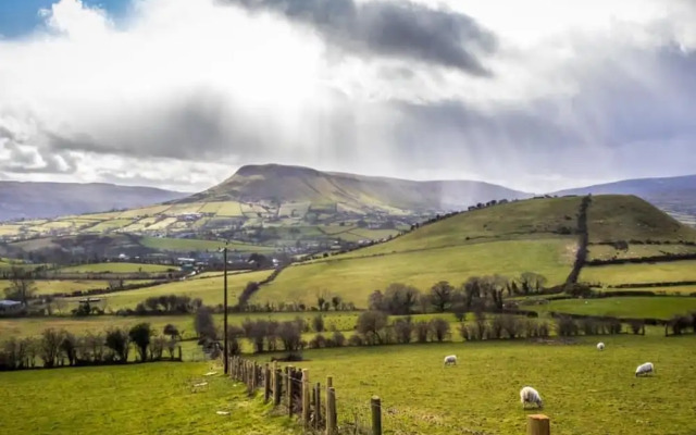 Mcnaughton Guestrooms