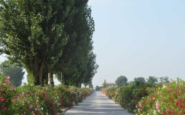 Pet-friendly Getaway With Pool