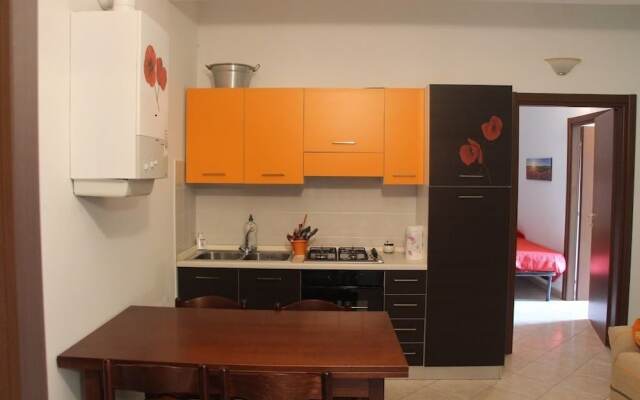 Sul sentiero di Francesco