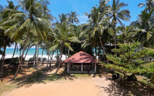 Crazy Coconut Villa