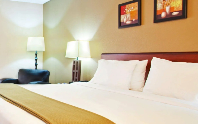 Holiday Inn Rolling Meadows-Schaumburg Area