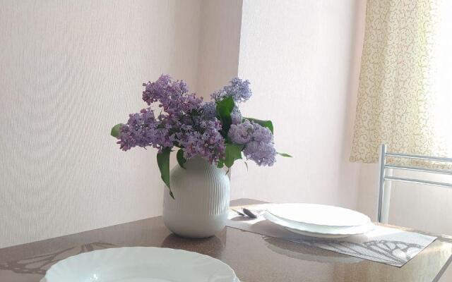 Апартаменты на проспекте Врача Сурова