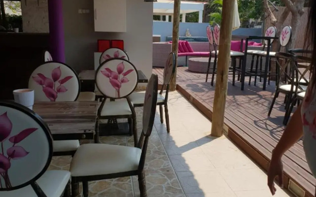 Orquidea GuestHouse Spa & Restaurant