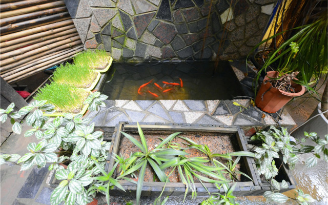 Drift Away Ferry Inn