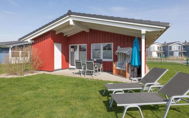 Ferienhaus - Basstölpel