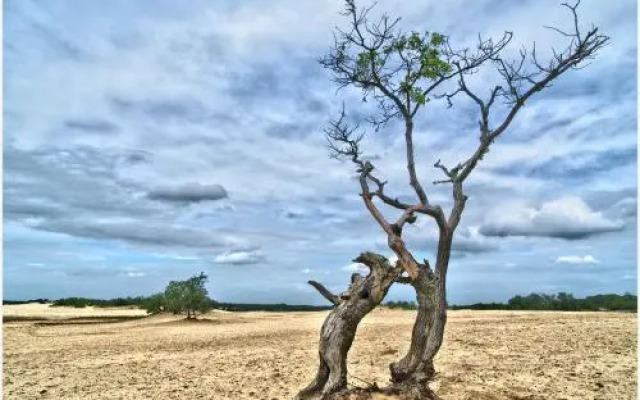 Kampeerboederij De Runsvoort