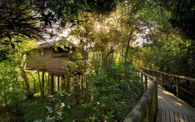 Tsala Treetop Lodge