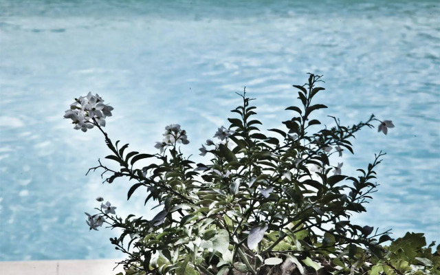 Montelucci Country Resort & Agriturismo di Charme