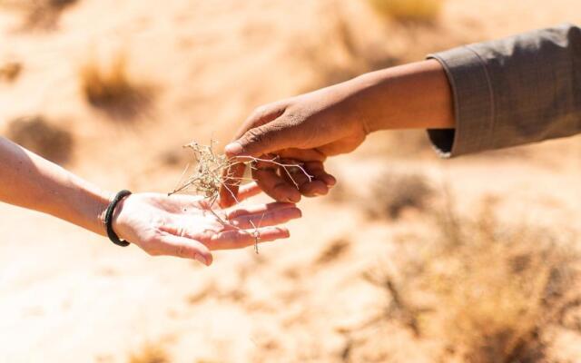 Wadi Rum Magic Nature Camp