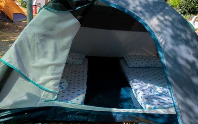Social Camping JAL