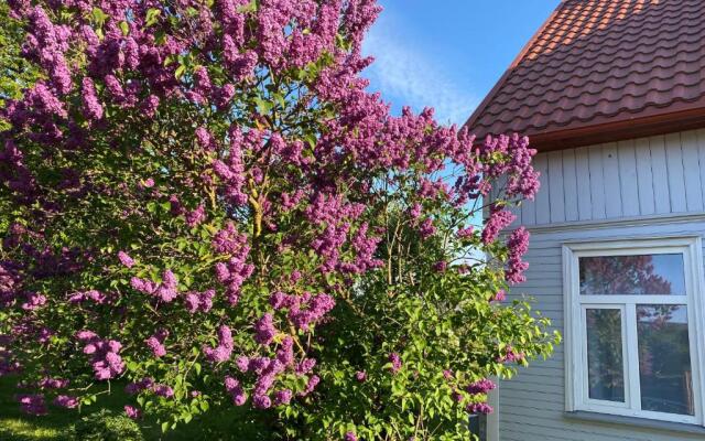 Skrunda Apartments Rustic