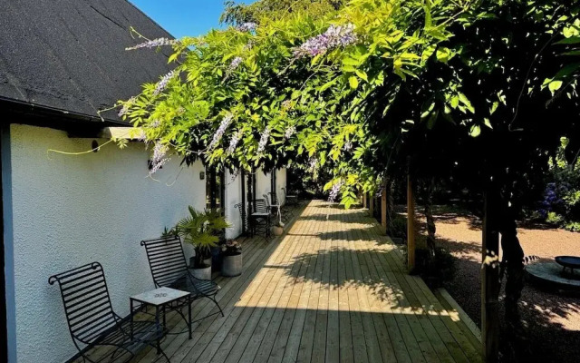 Wisteria Österlen