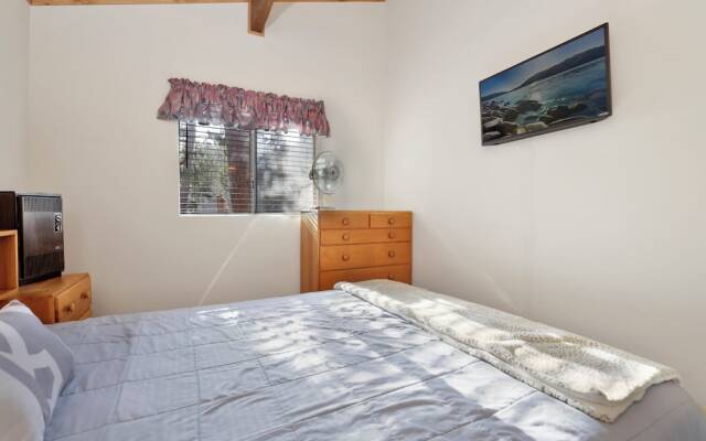 Escape IN THE Pines #2276