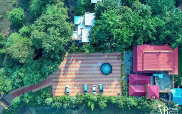 Tiger King Resort