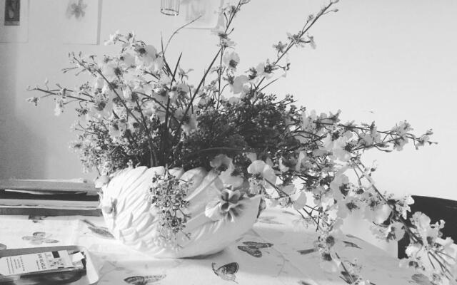 Bed  Breakfast San Michele