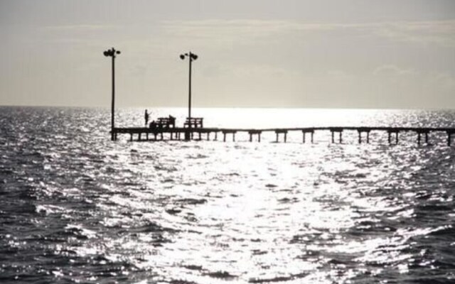 The Peaceful Pelican LLC