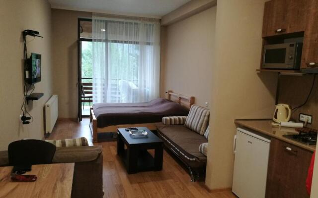 Studio in Bakuriani City