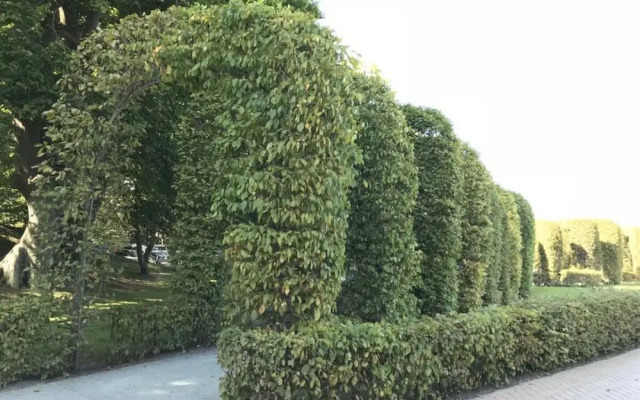 Villa Granitz Apartment