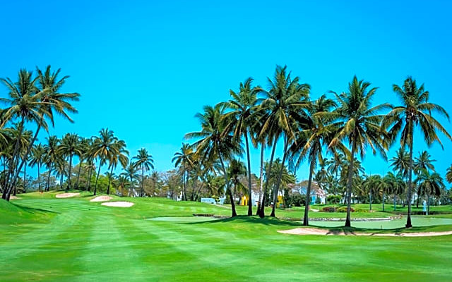 Mayan Palace Acapulco Golf