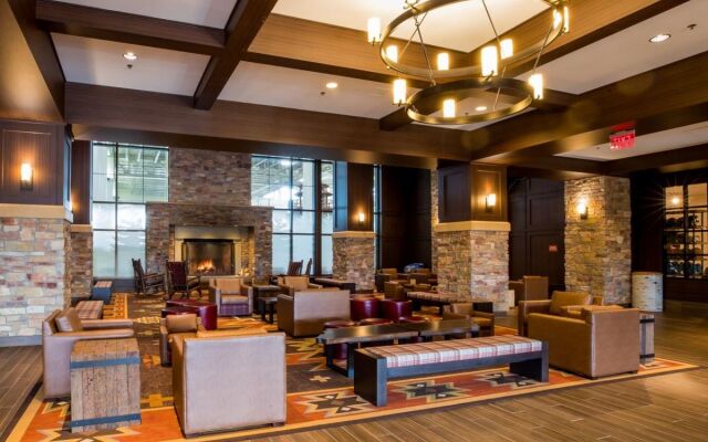 Отель Great Wolf Lodge Bloomington