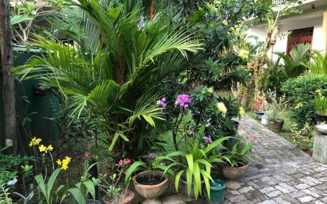 Coral Palm Villa & Apartments