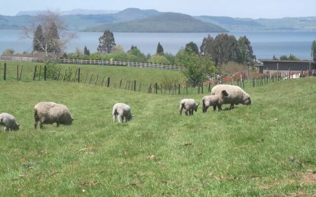 A Panoramic Country Homestay