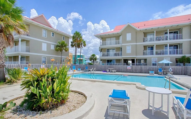 Sunset Harbor Palms 1-0310